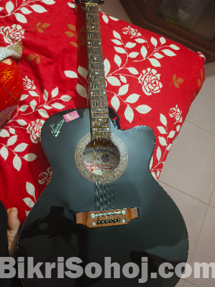 Signature Topqz.Model 256 Guitar.